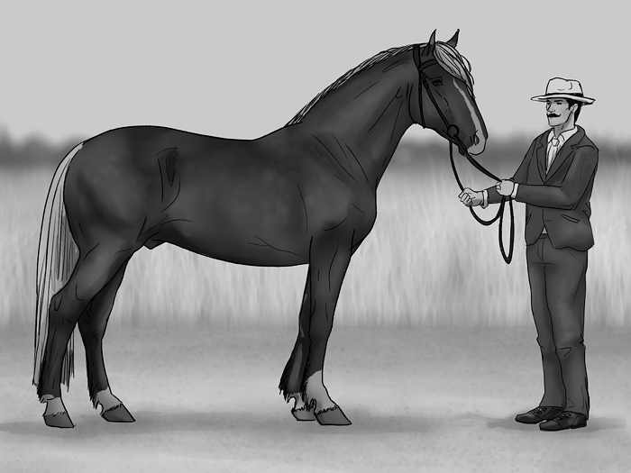 eeiii. Septimi vuonna 1959